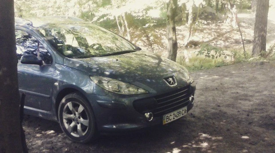 Peugeot 307 SW Левчик 3