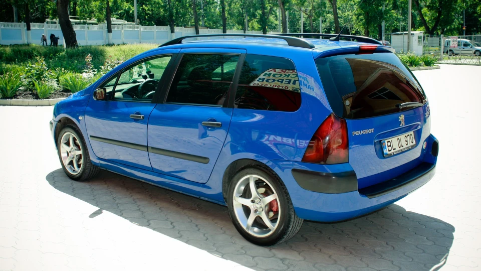 Peugeot 307 SW ПИЖИК 2