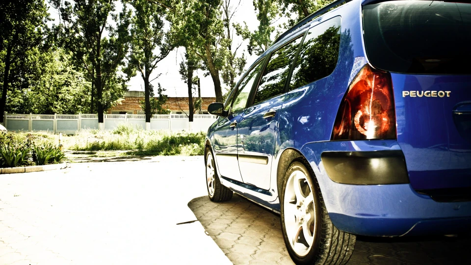 Peugeot 307 SW ПИЖИК 4