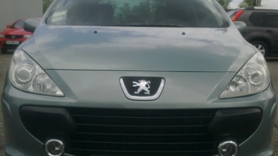 Peugeot 307 SW Зелений крокодил ZiZu 4