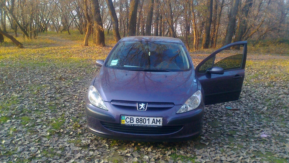 Peugeot 307 3