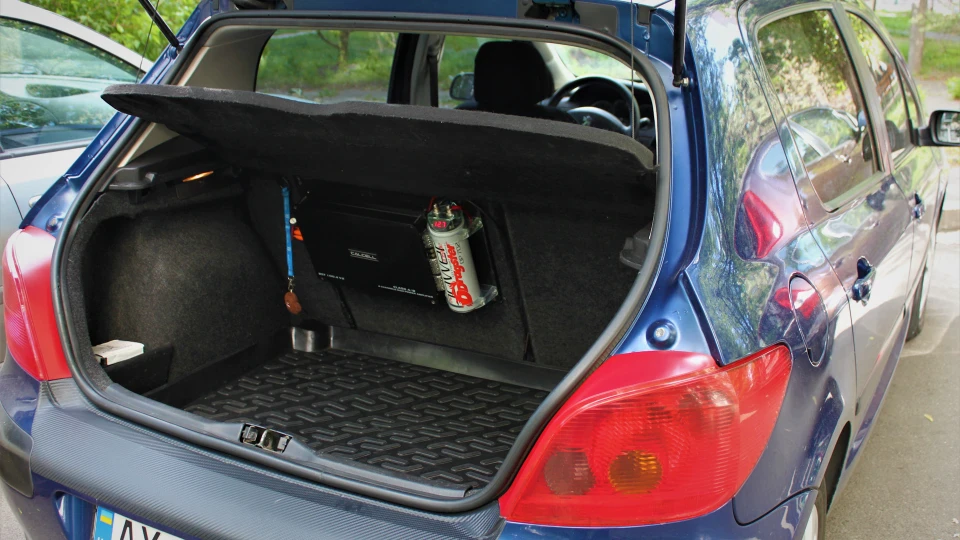 Peugeot 307 #☢ 3