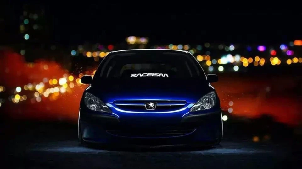 Peugeot 307 #☢ 4