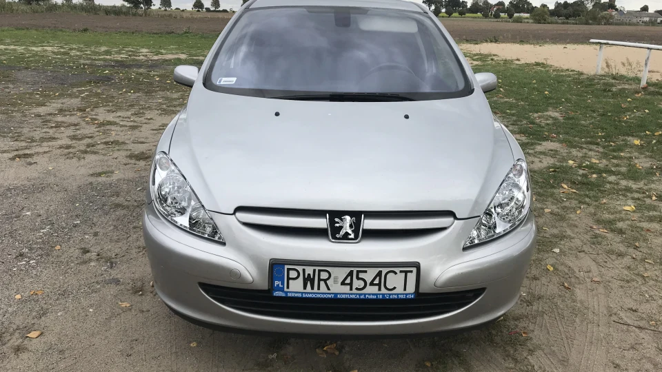 Peugeot 307 1,6 16v терплячий до всього