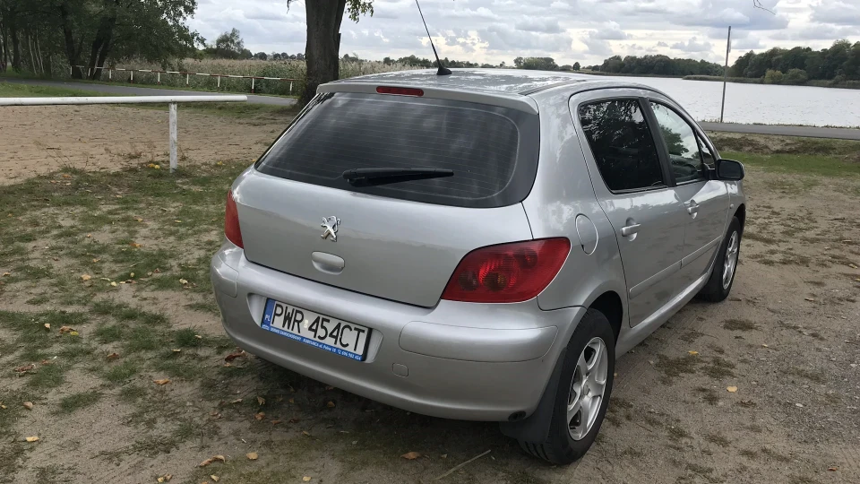 Peugeot 307 1,6 16v терплячий до всього 5