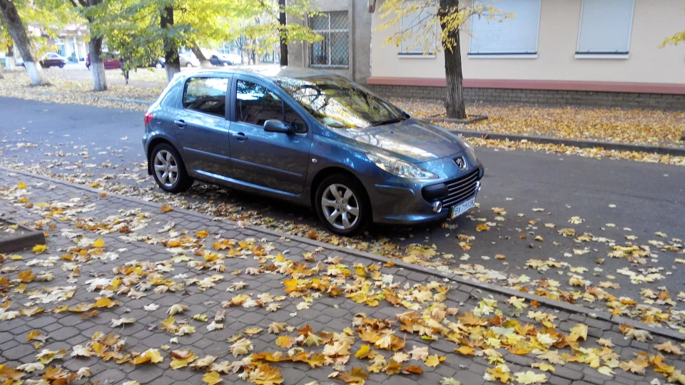 Peugeot 307 2.0 відтінків сірого))) 3