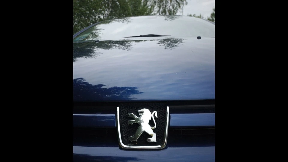 Peugeot 307 2.0 XT 5