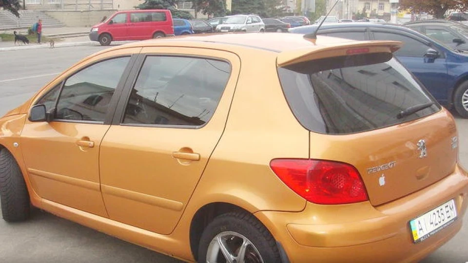 Peugeot 307 2.0 4