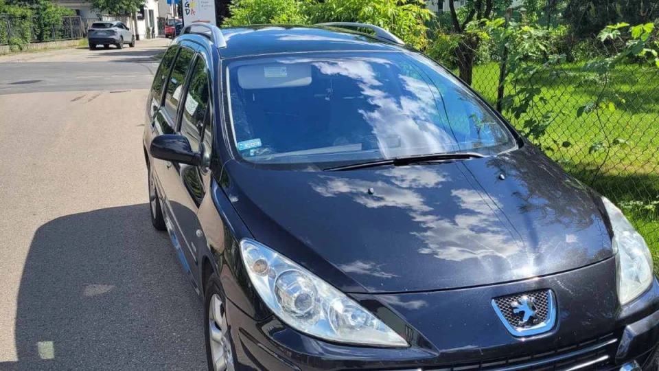 Peugeot 307 307sw 1.6 HDI