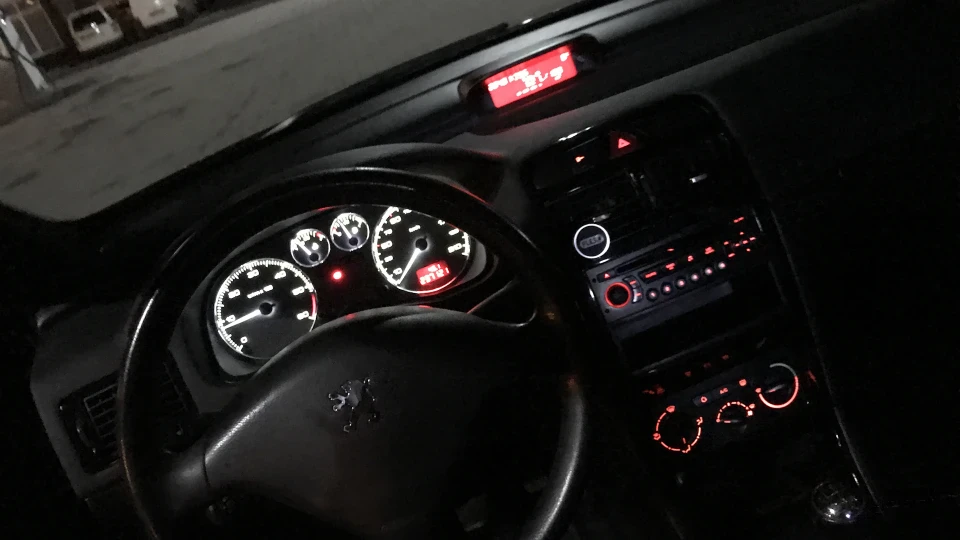 Peugeot 307 Black frog 🐸 2
