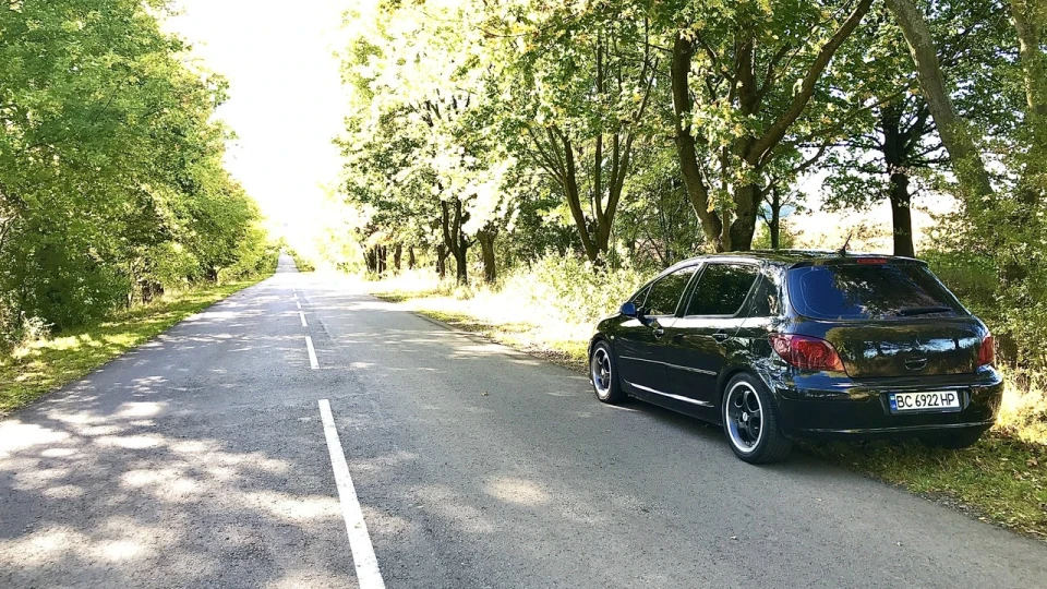 Peugeot 307 Black frog 🐸 3