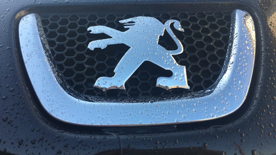 Peugeot 307 Black Lion 2