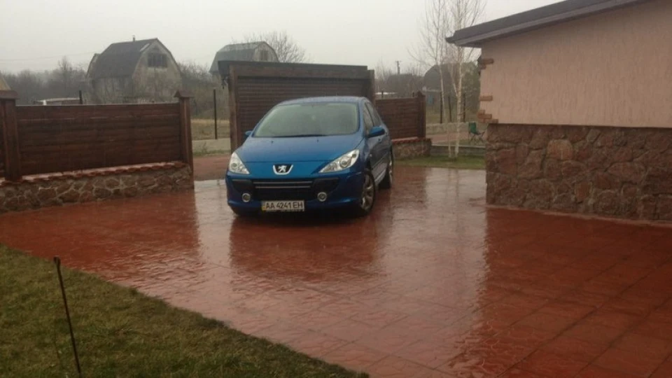 Peugeot 307 Blueberry 2