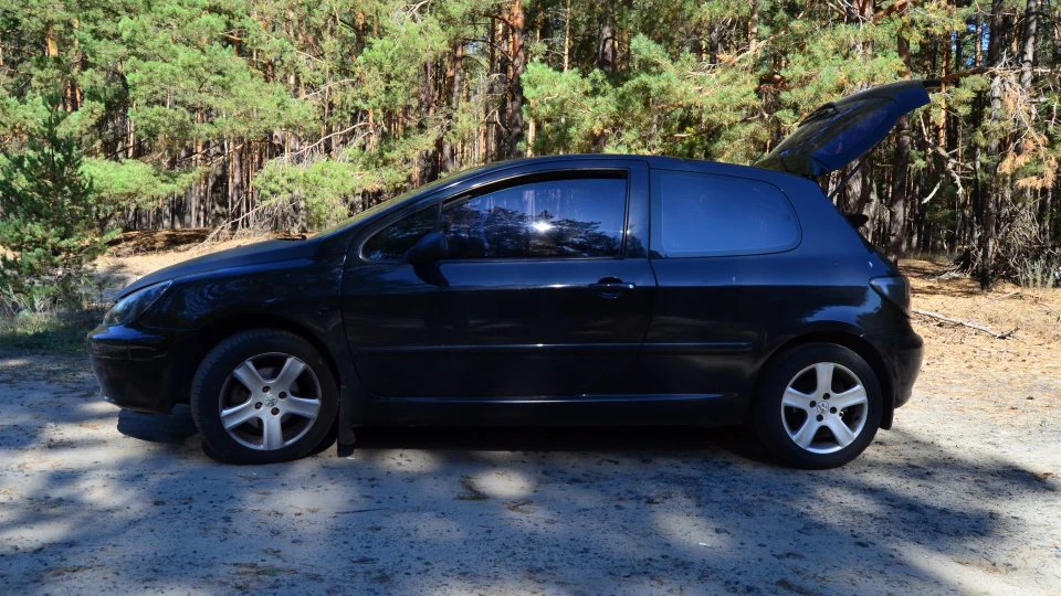 Peugeot 307 Чорна Борода 2.0 3