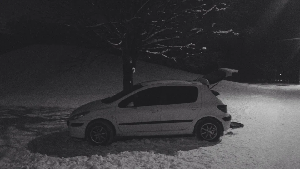 Peugeot 307 економна ракета 2