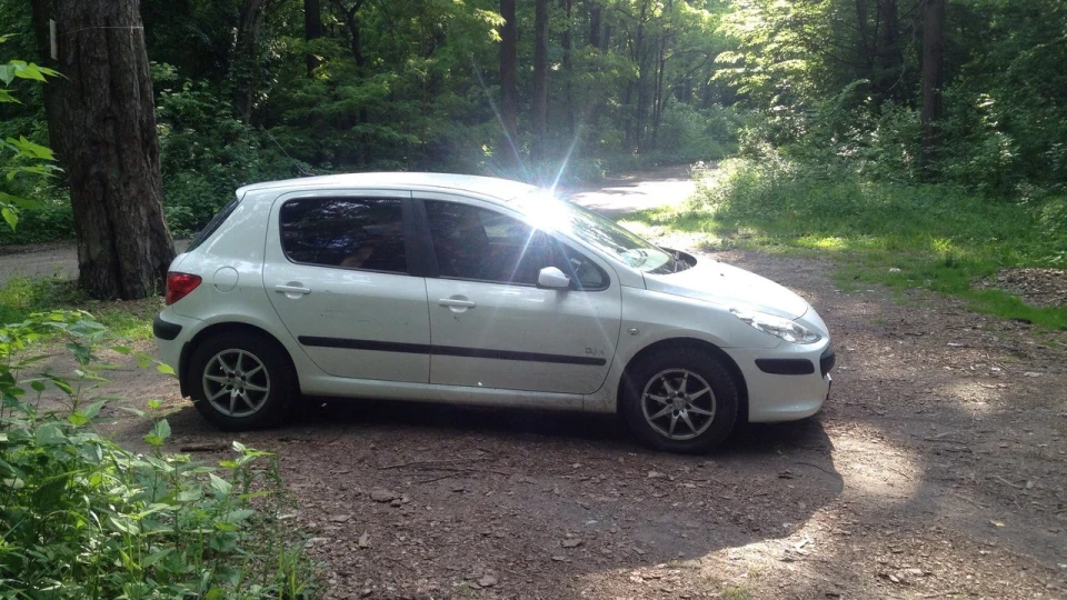 Peugeot 307 економна ракета 4