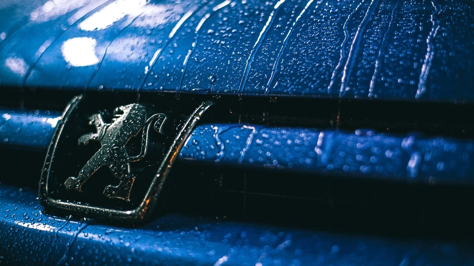 Peugeot 307 From Paris with Love 5