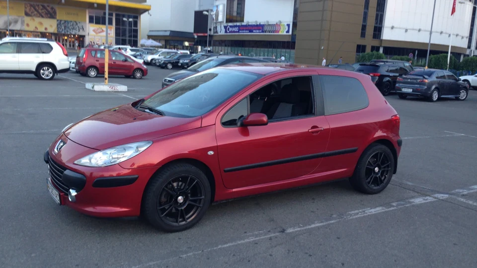 Peugeot 307 Червоне Левеня 2