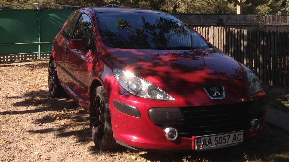 Peugeot 307 Червоне Левеня 3