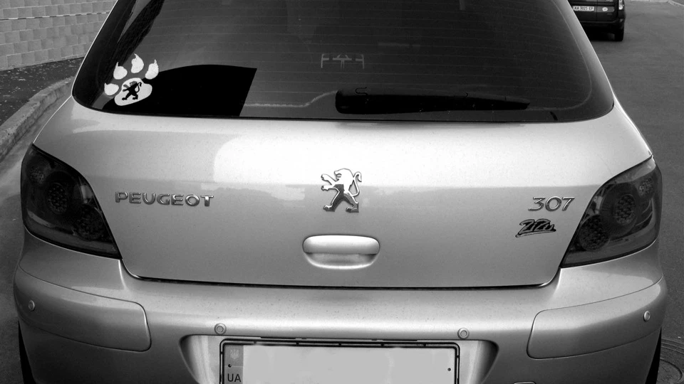 Peugeot 307 одне клацання 2