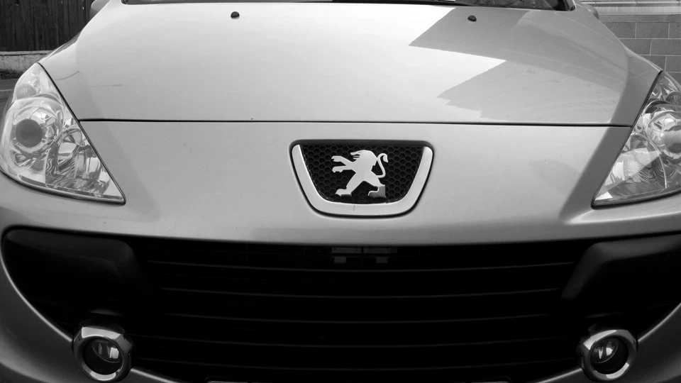 Peugeot 307 одне клацання 3