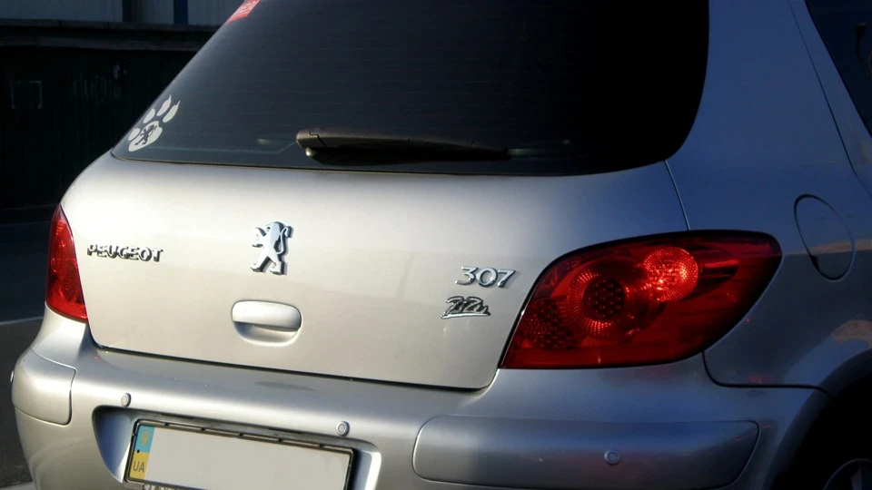 Peugeot 307 одне клацання 4