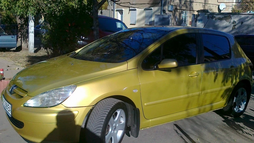 Peugeot 307 Peugeot 307 Gold. 2.0 3