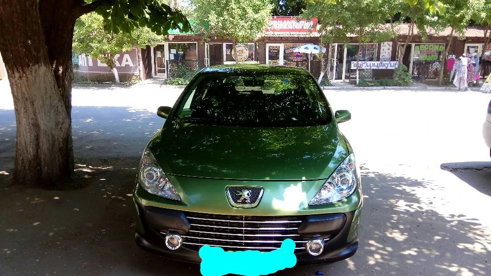 Peugeot 307 Пижик