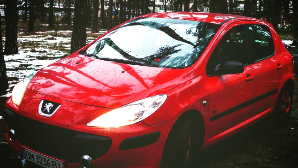 Peugeot 307 Red Devil 3