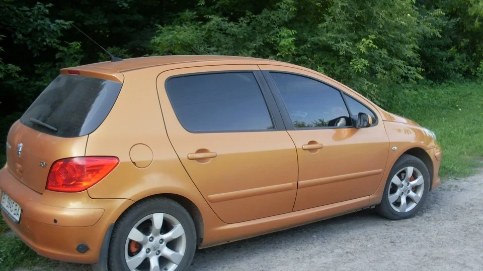 Peugeot 307 SALAMANCA ORANGE 4