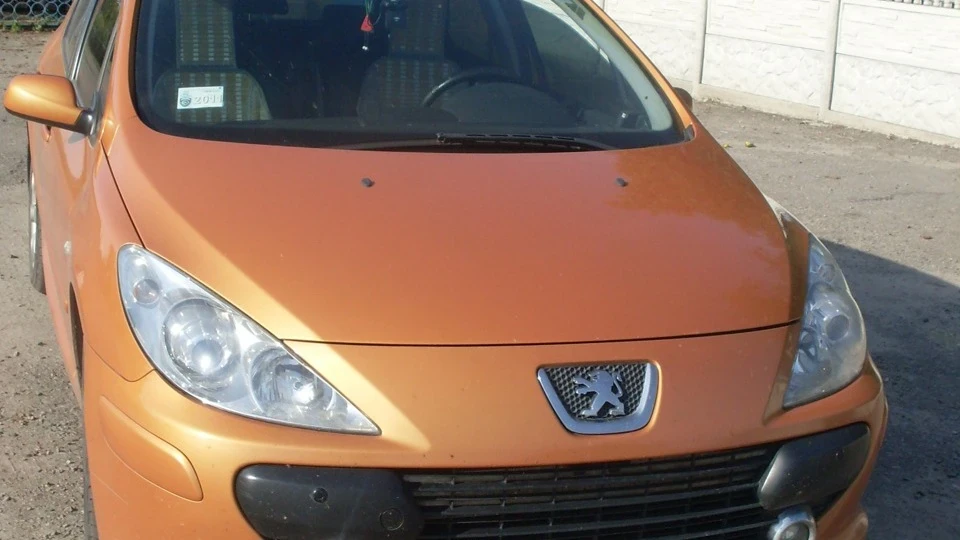 Peugeot 307 SALAMANCA ORANGE 5