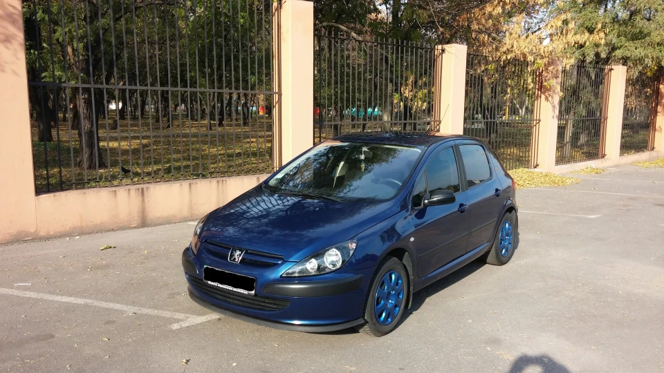 Peugeot 307 Синій Пижон 2