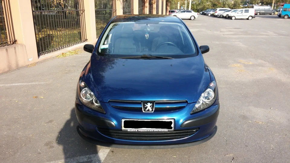 Peugeot 307 Синій Пижон 3