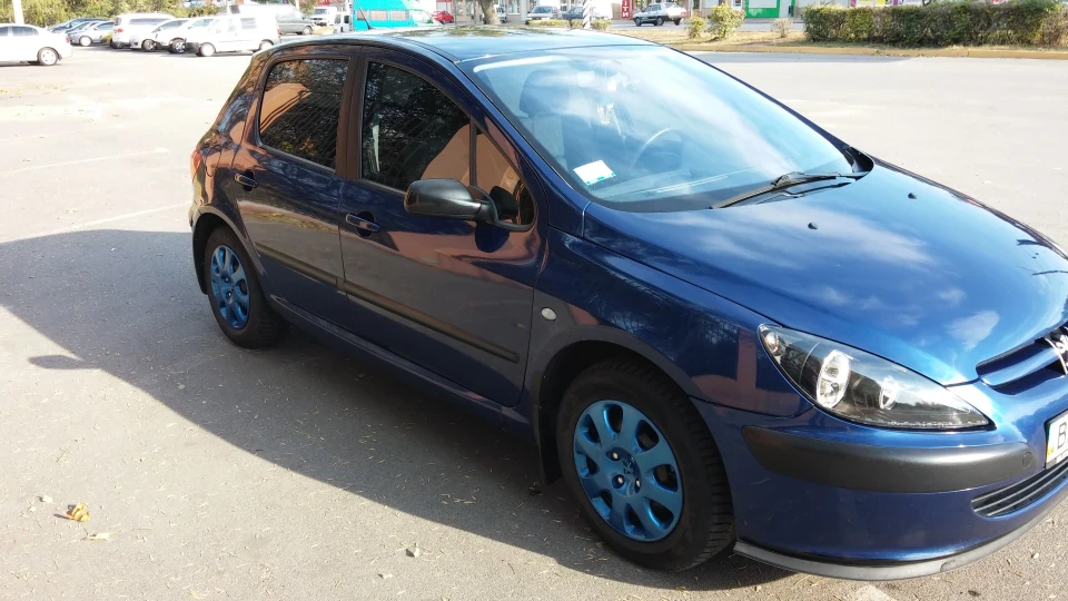 Peugeot 307 Синій Пижон 4