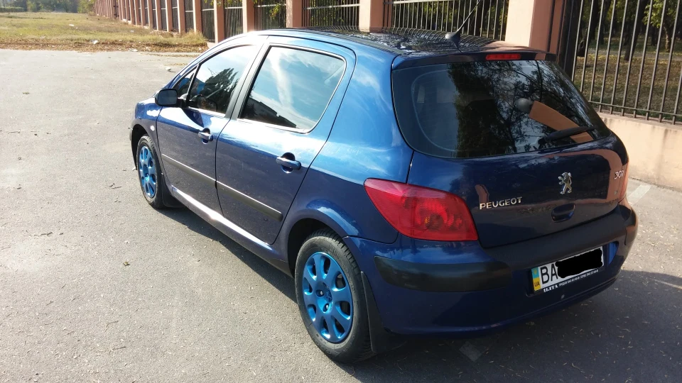 Peugeot 307 Синій Пижон 5
