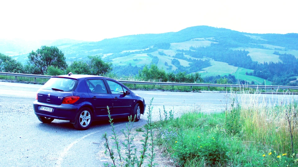Peugeot 307 Турбо дичину) 2