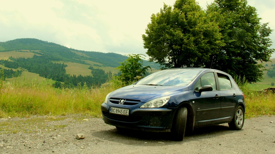 Peugeot 307 Турбо дичину) 3