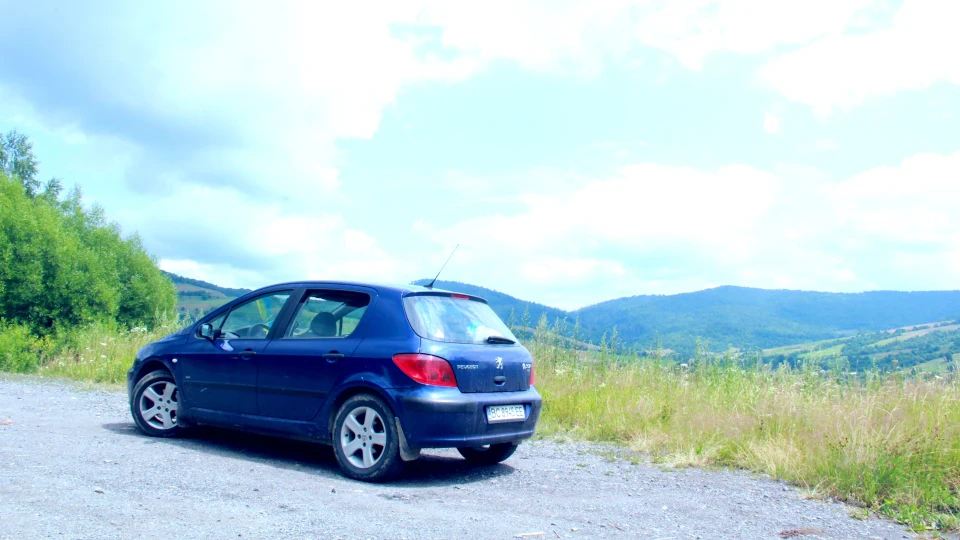 Peugeot 307 Турбо дичину) 4