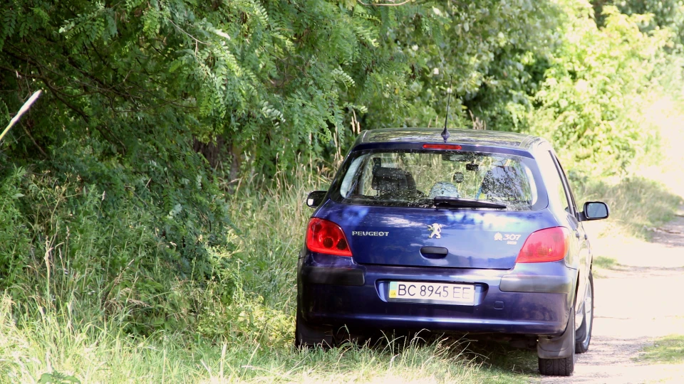 Peugeot 307 Турбо дичину) 5