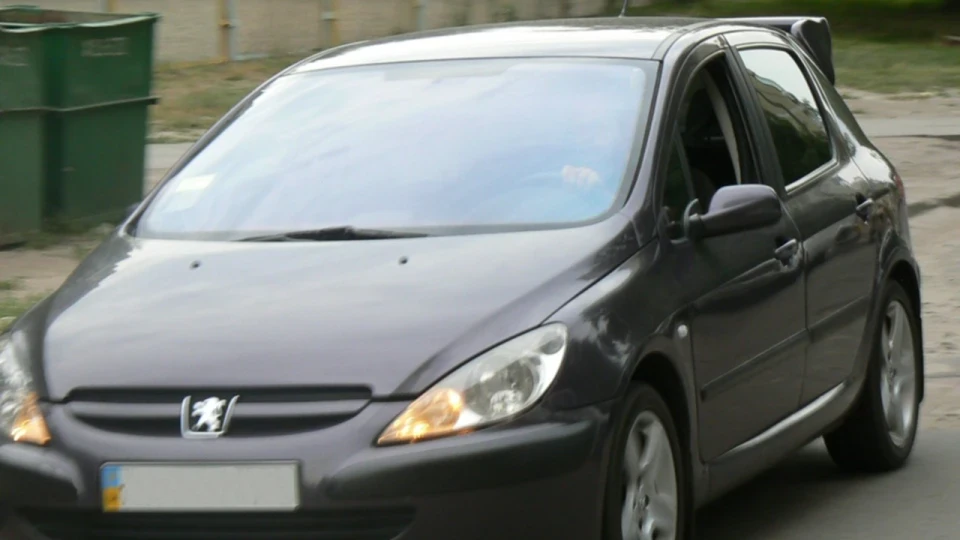 Peugeot 307 жабоєди рулять 3