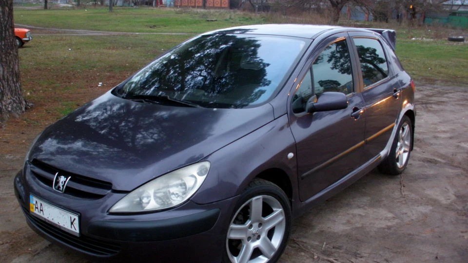 Peugeot 307 жабоєди рулять 4