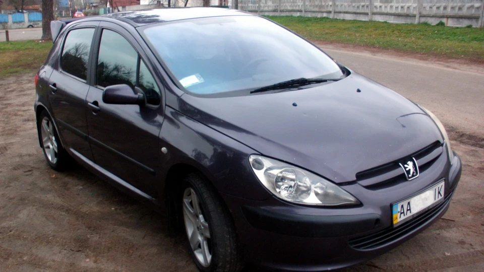 Peugeot 307 жабоєди рулять 5
