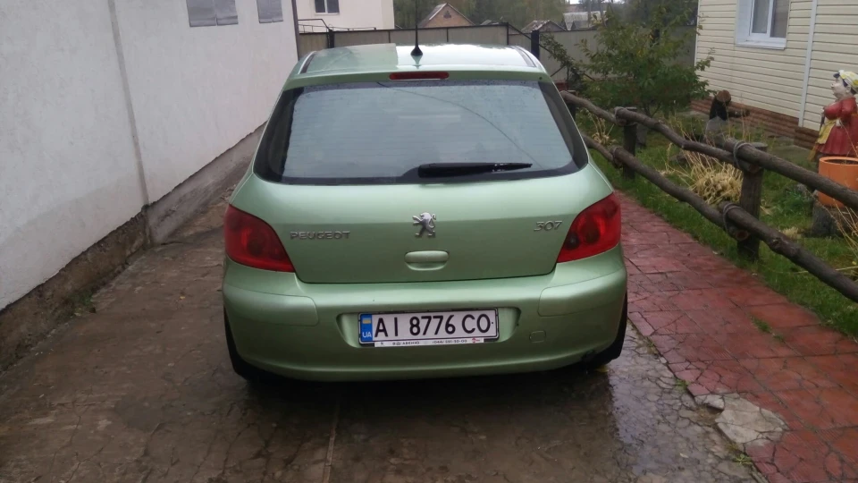 Peugeot 307 Зеленка 3