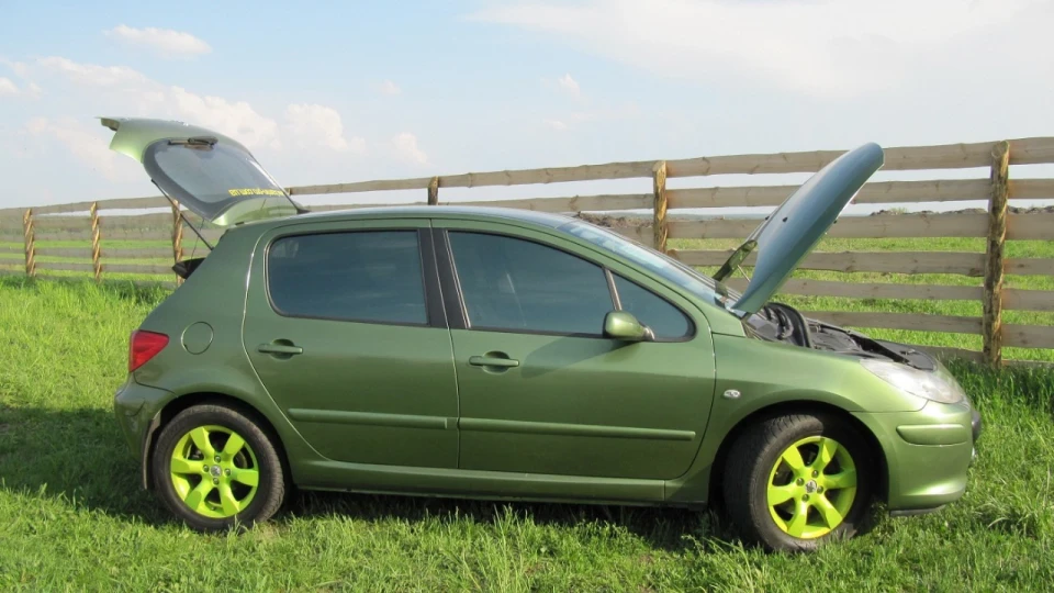 Peugeot 307 Зелений перламутр 3