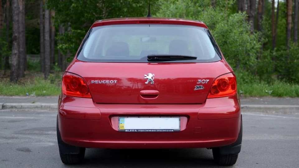 Peugeot 307 Zizu 3