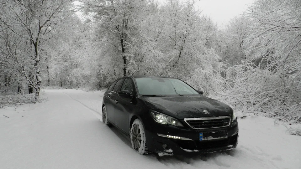 Peugeot 308 SW "ARIN" 2