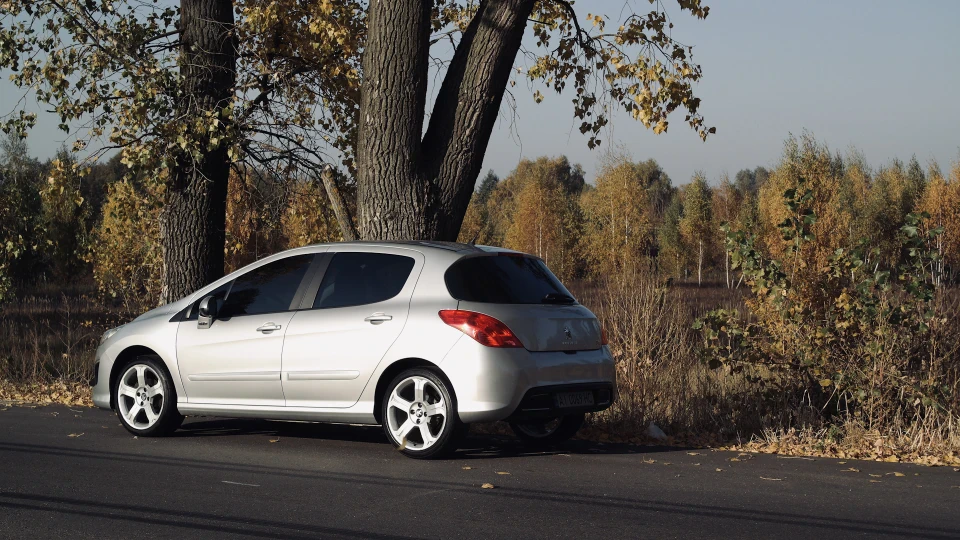 Peugeot 308 сріблястий Лев 2