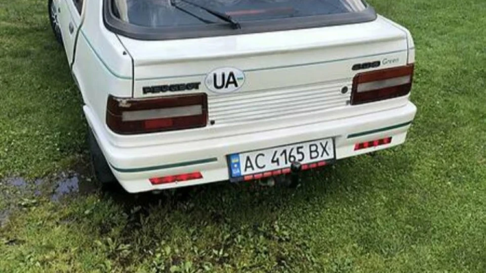 Peugeot 309 2