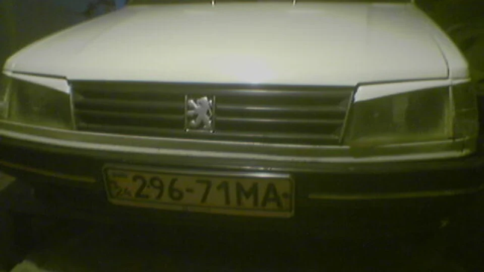 Peugeot 309 1.3 ❄Снігова королева❄ 2