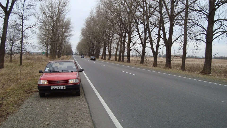 Peugeot 309 Левеня 3